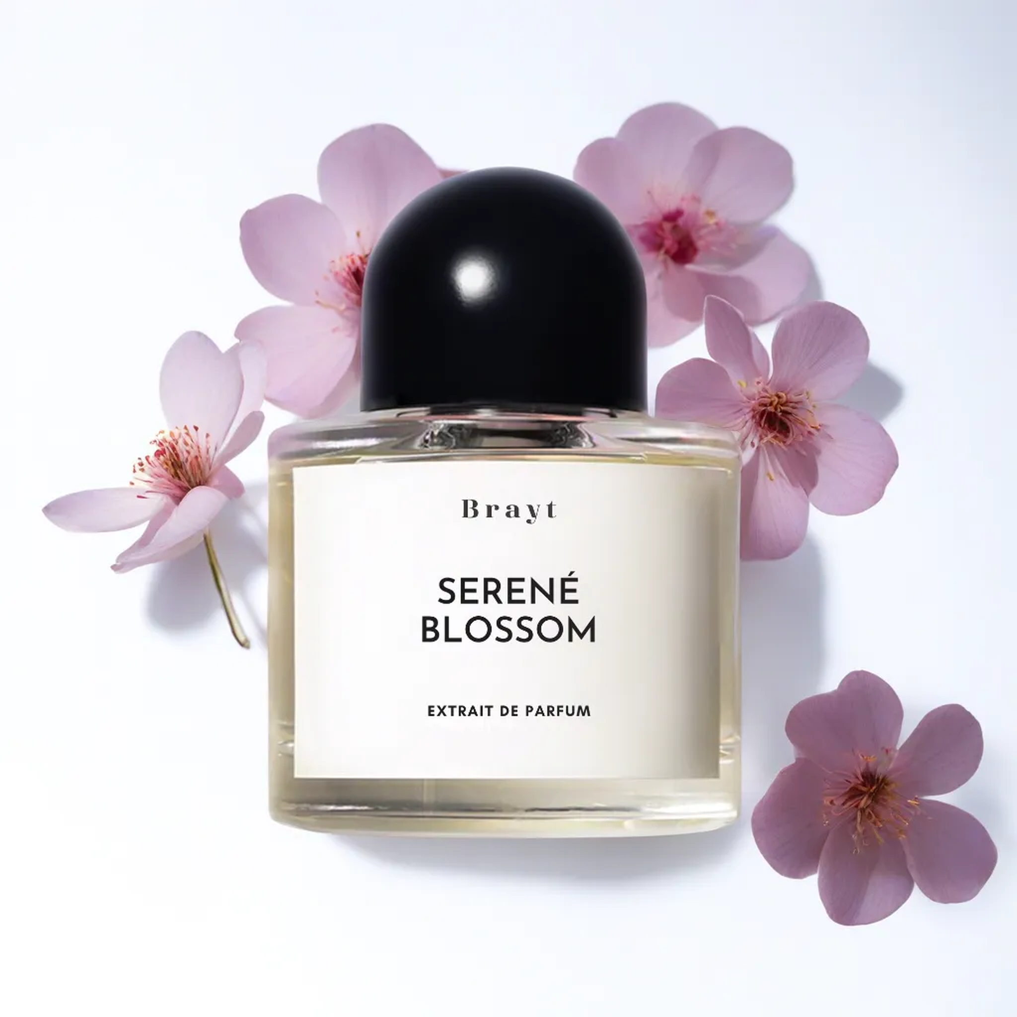 SERENÉ BLOSSOM Inspired by CHANEL COCO MADEMOISELLE